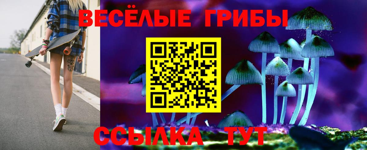Псилоцибиновые грибы MAGIC MUSHROOMS  Псилоцибиновые грибы прущие грибы  Вход с VPN  Тосно 