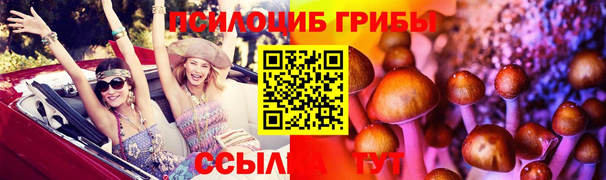 Галлюциногенные грибы Magic Shrooms Тосно